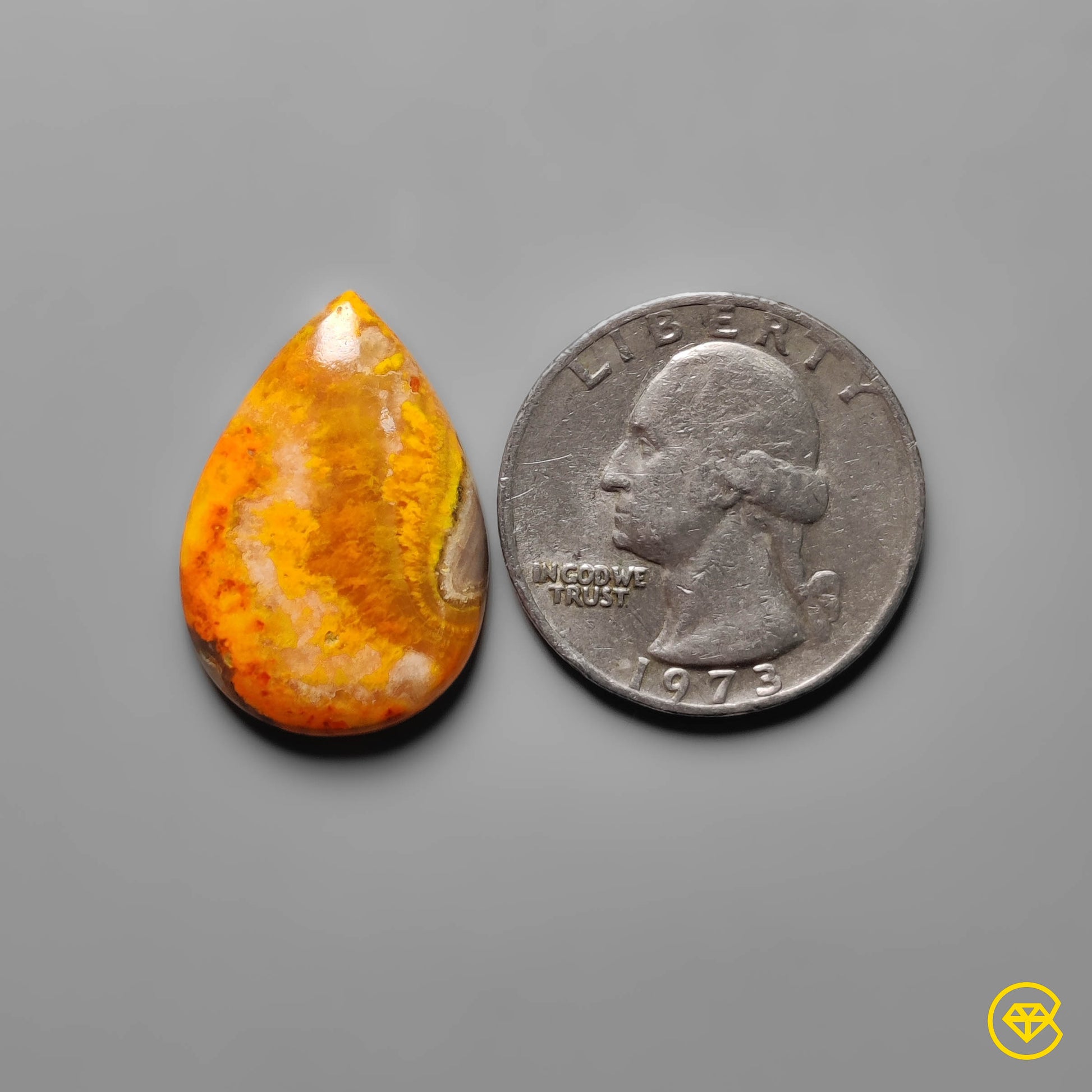 Bumble Bee Jasper