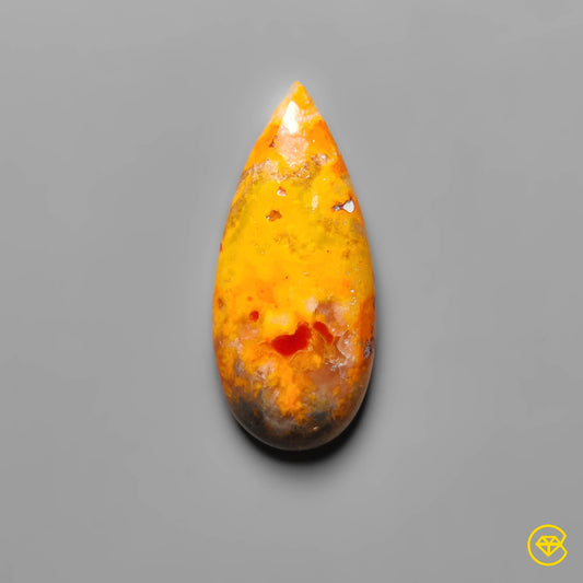 Bumble Bee Jasper