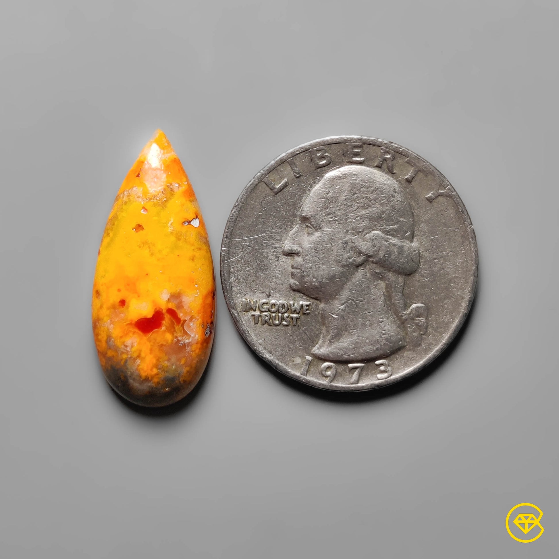Bumble Bee Jasper