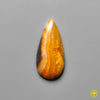 Bumble Bee Jasper
