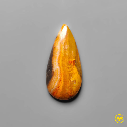 Bumble Bee Jasper