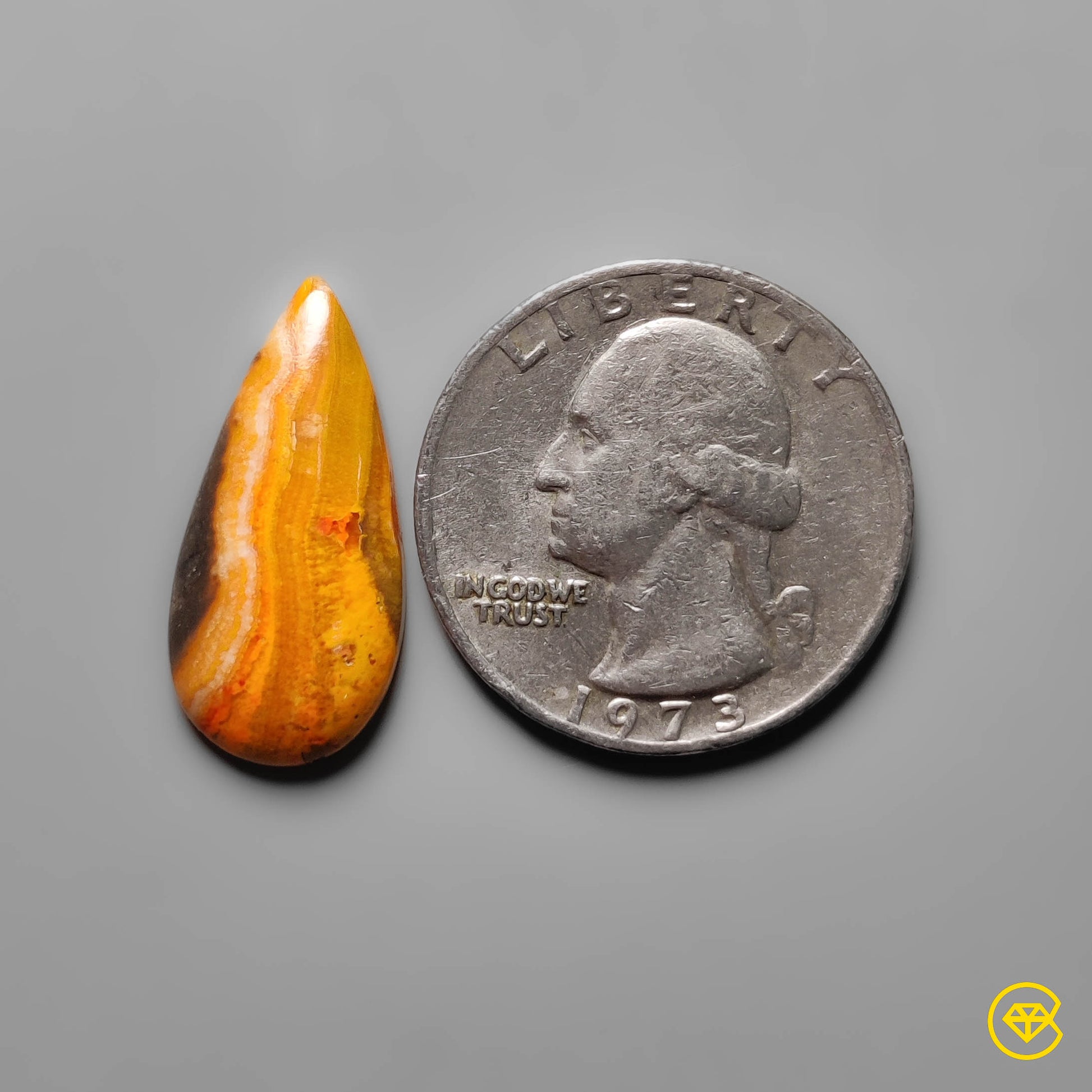 Bumble Bee Jasper