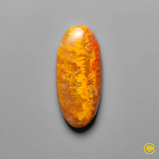 Bumble Bee Jasper