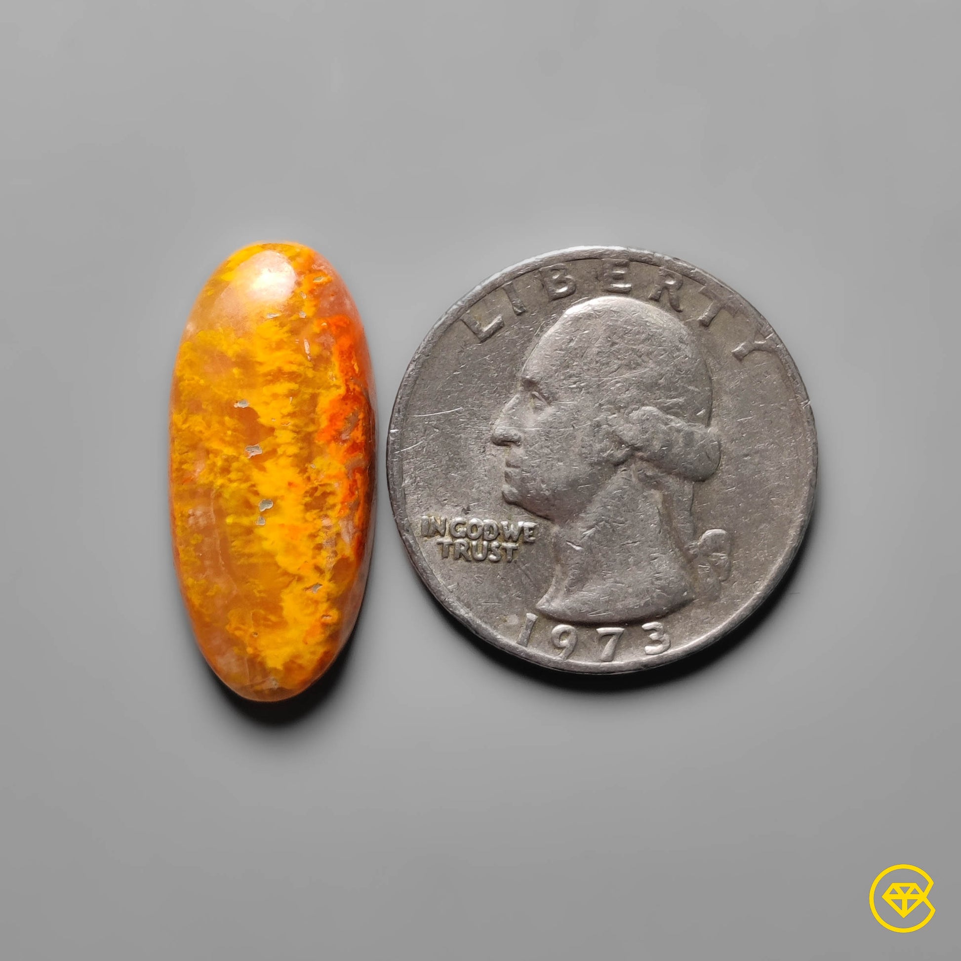 Bumble Bee Jasper