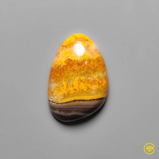 Bumble Bee Jasper