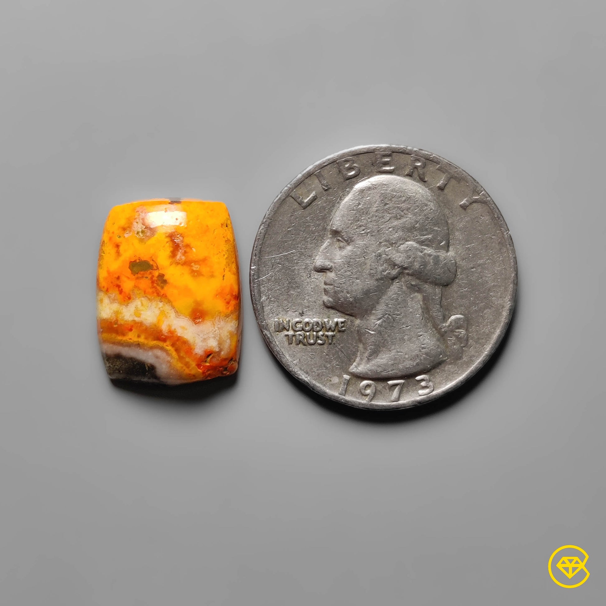 Bumble Bee Jasper