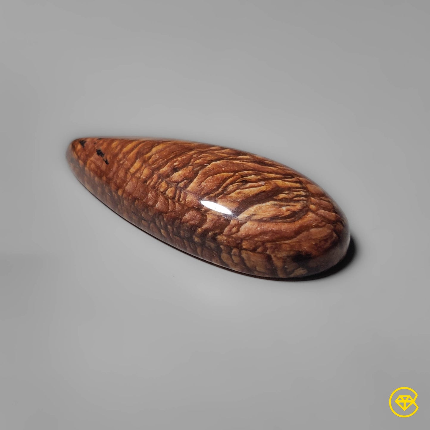 Biggs Jasper