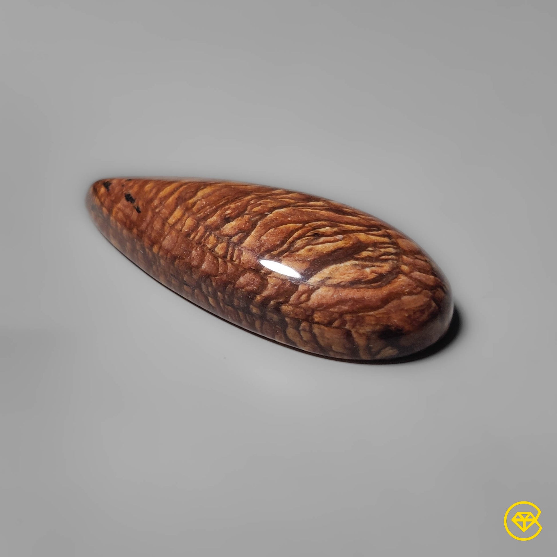 Biggs Jasper