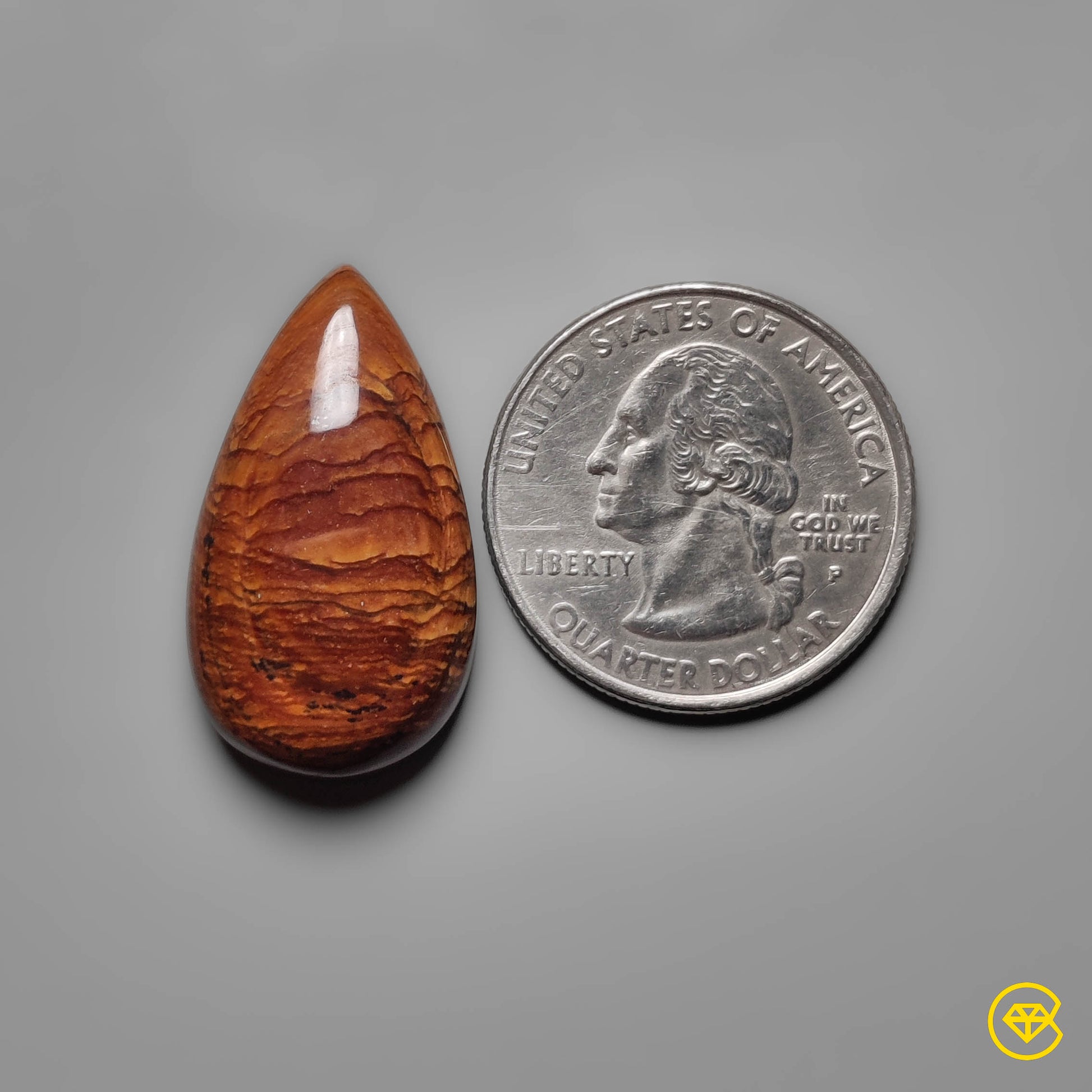 Biggs Jasper