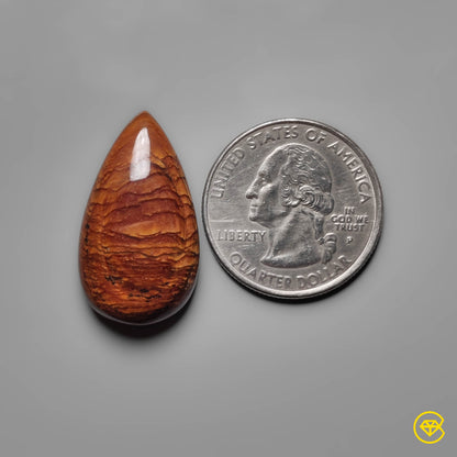 Biggs Jasper