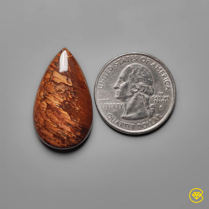 Biggs Jasper