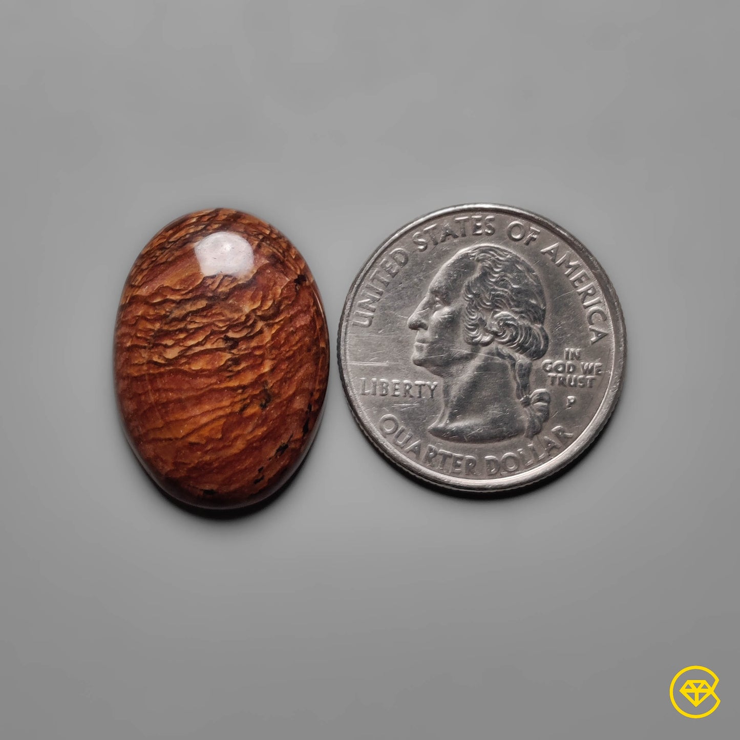 Biggs Jasper