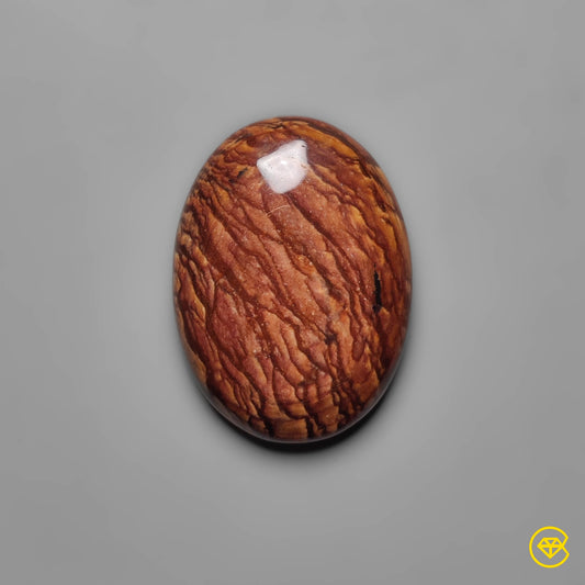 Biggs Jasper