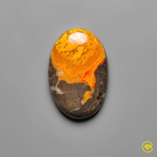 Bumble Bee Jasper