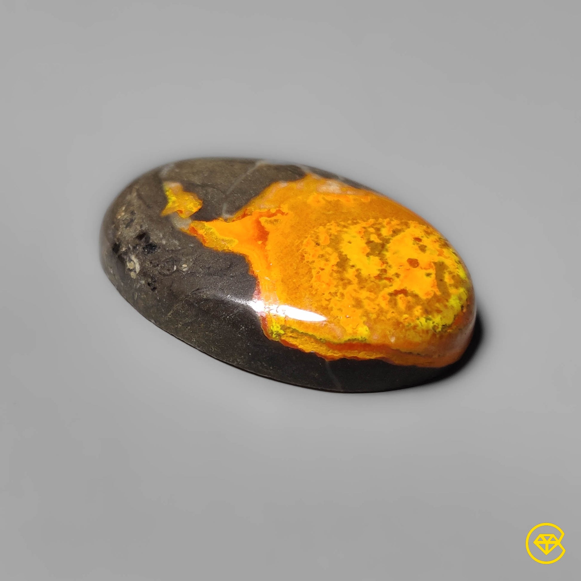Bumble Bee Jasper