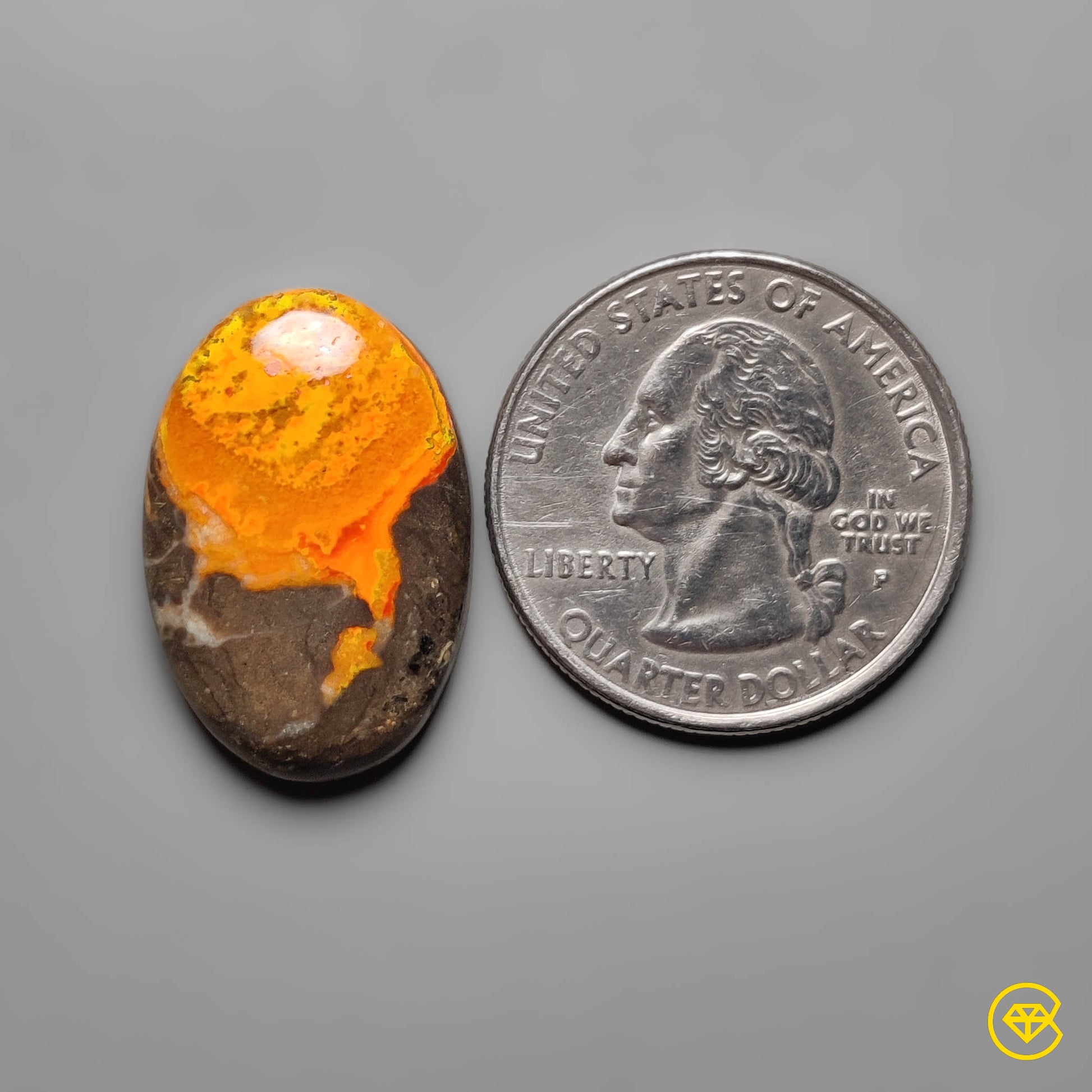 Bumble Bee Jasper