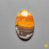 Bumble Bee Jasper