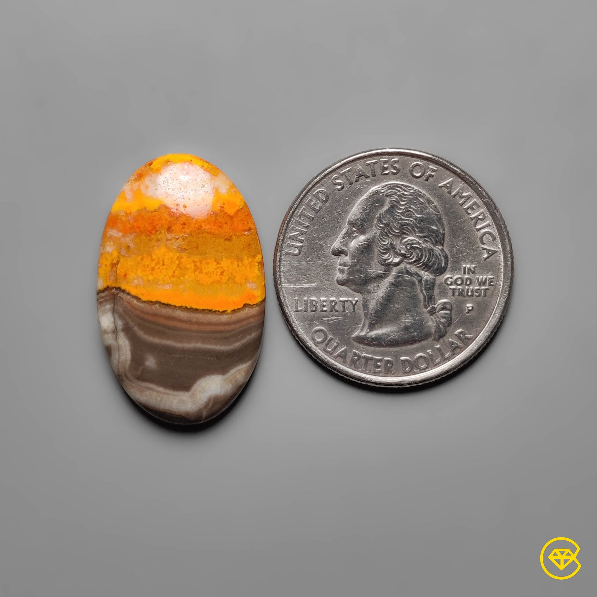 Bumble Bee Jasper