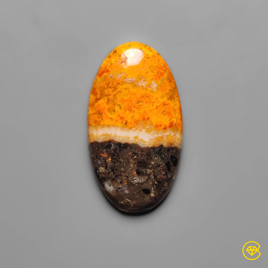 Bumble Bee Jasper