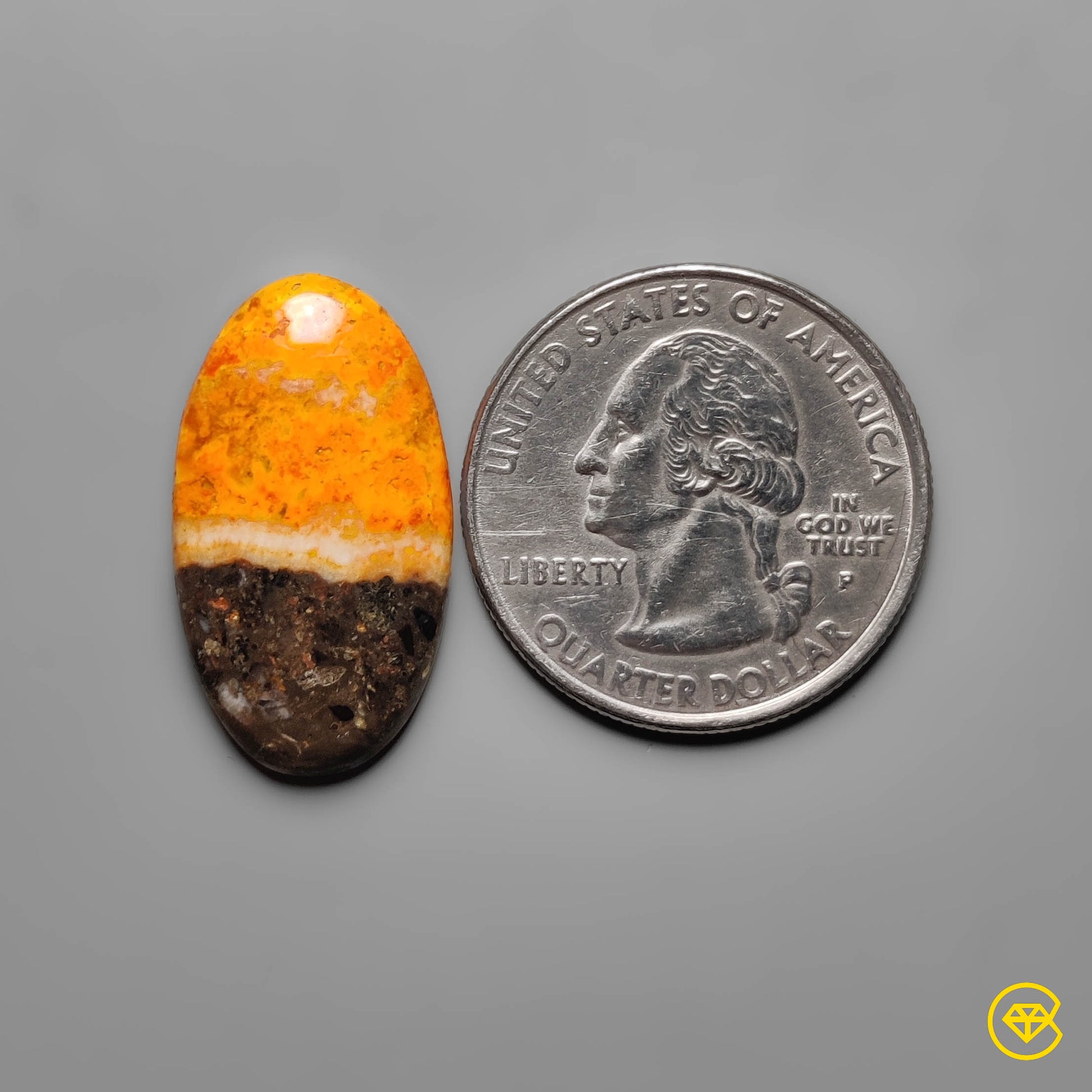 Bumble Bee Jasper