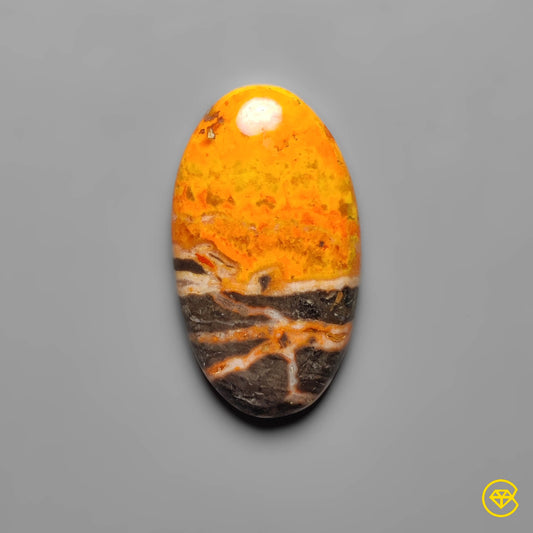 Bumble Bee Jasper