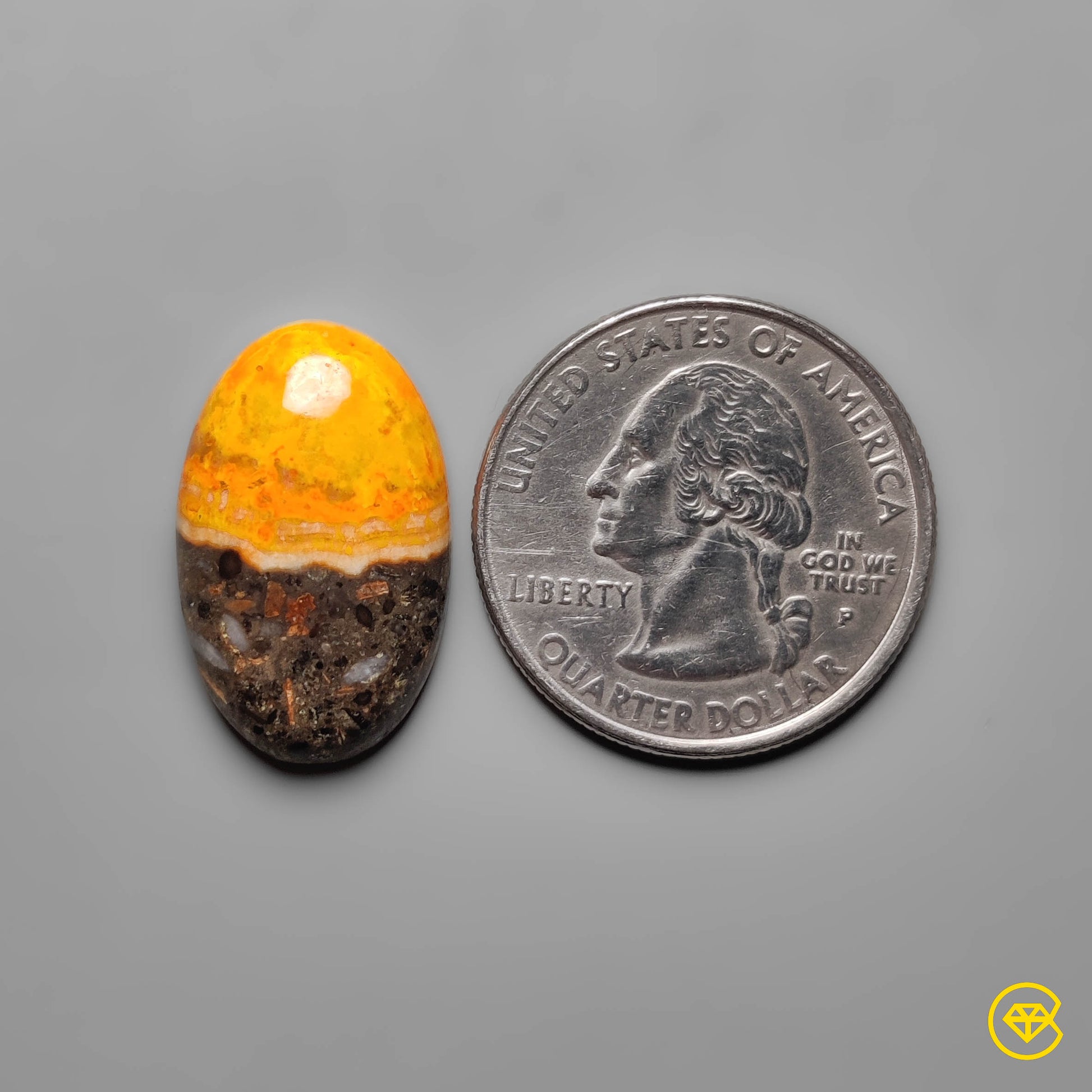 Bumble Bee Jasper
