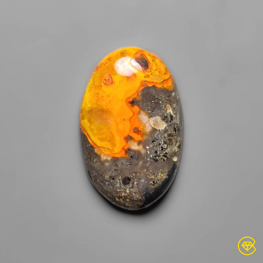 Bumble Bee Jasper