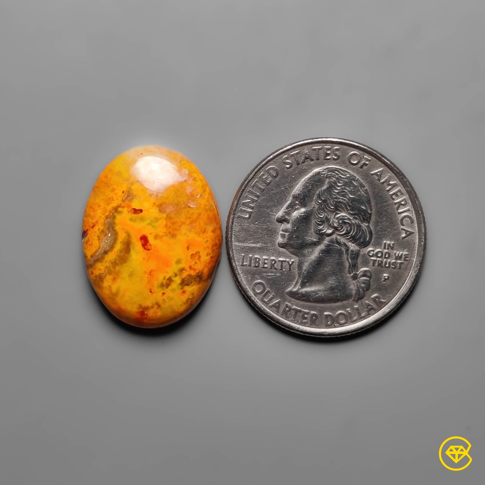 Bumble Bee Jasper