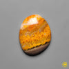 Bumble Bee Jasper