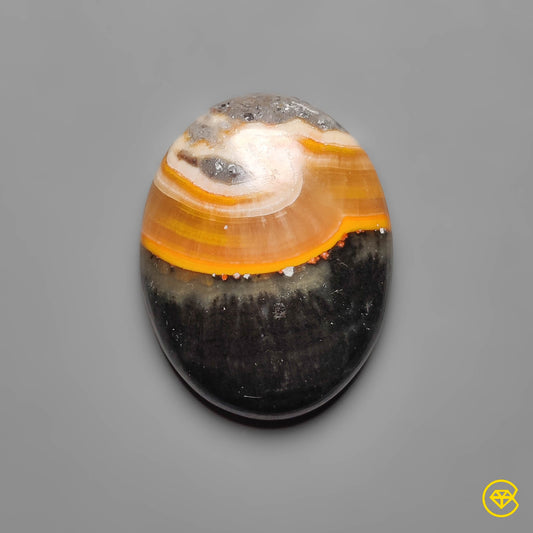 Bumble Bee Jasper