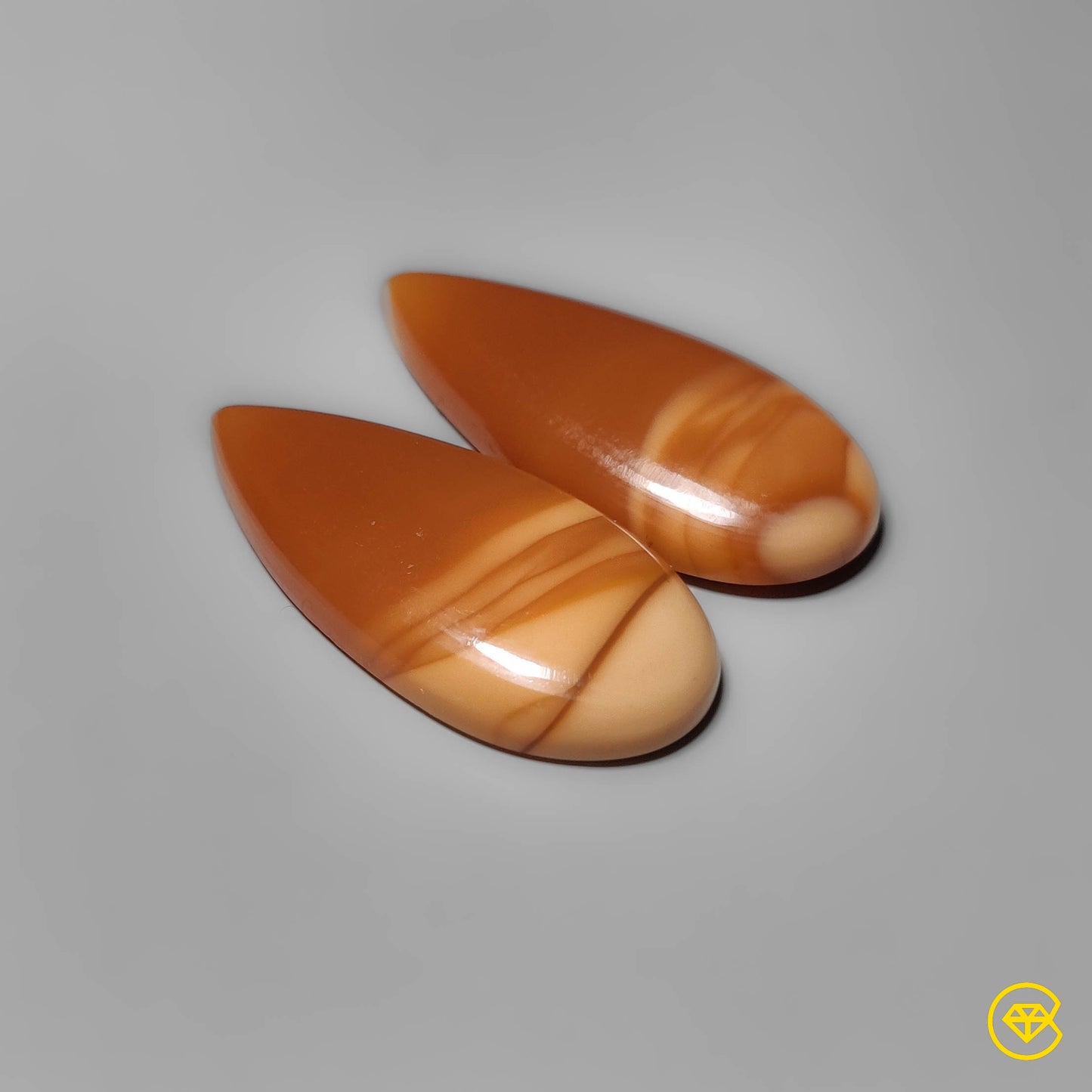 Bruneau Jasper