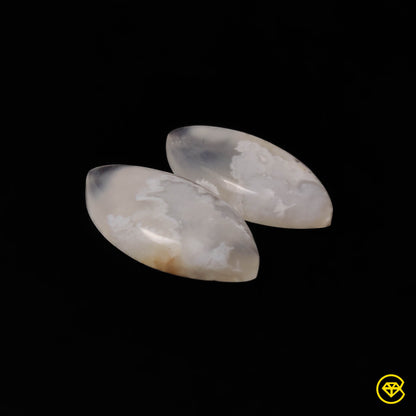 Plume Agate