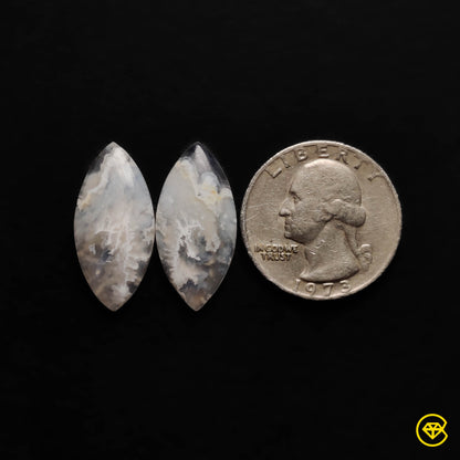 Plume Agate