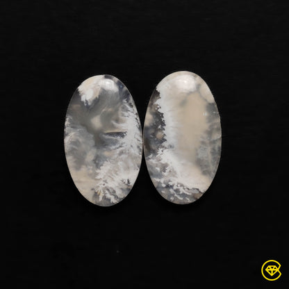 Plume Agate
