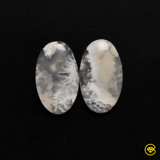Plume Agate