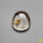 Rutilated Quartz