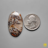 Turkish Tube Agate