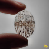 Cacoxenite|Quartz
