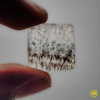 Cacoxenite|Quartz