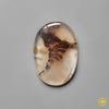 Scenic Agate