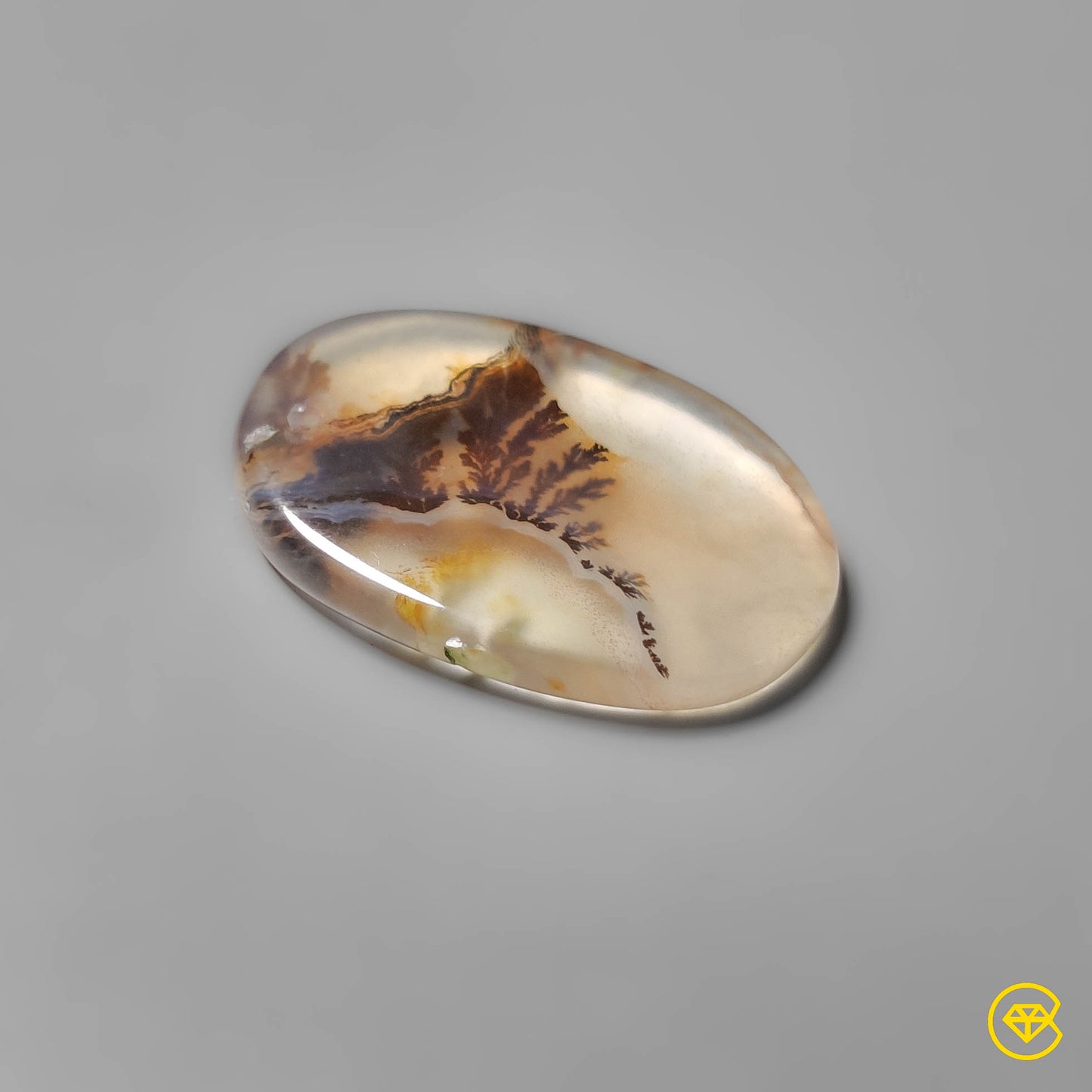 Scenic Agate