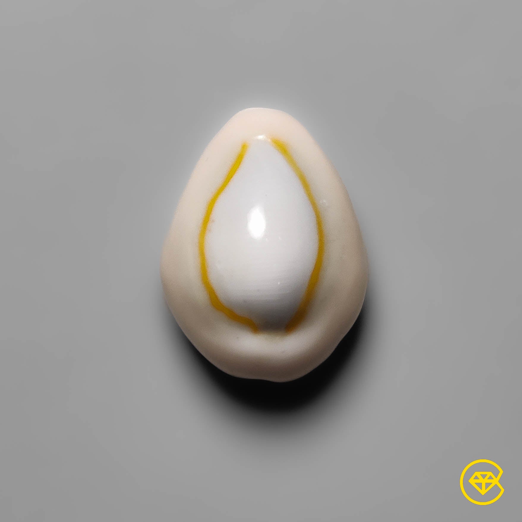 Shell