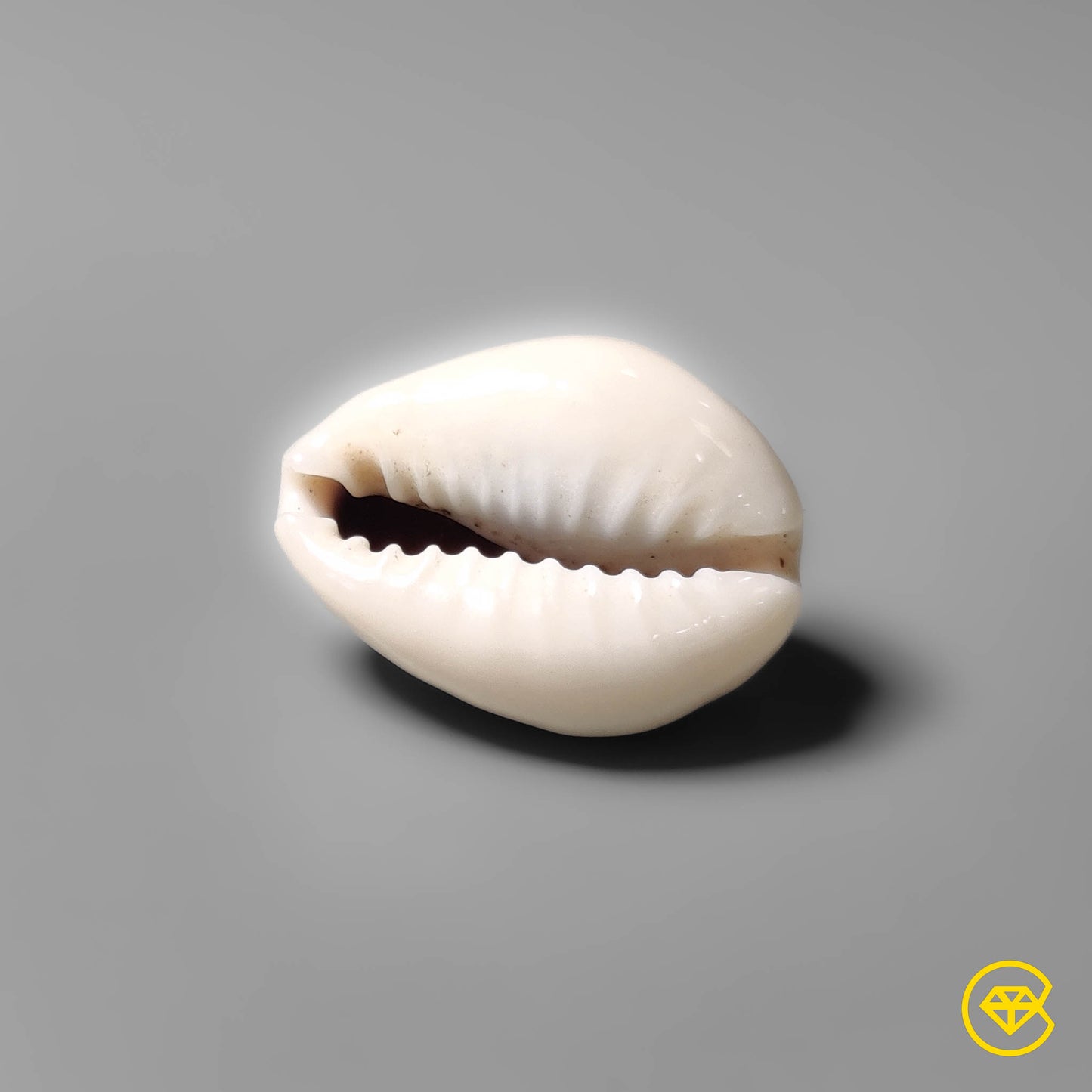 Shell