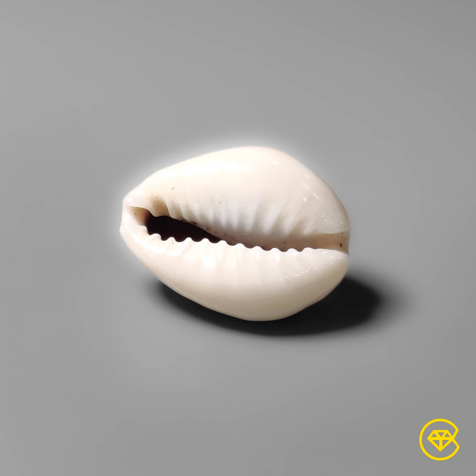 Shell