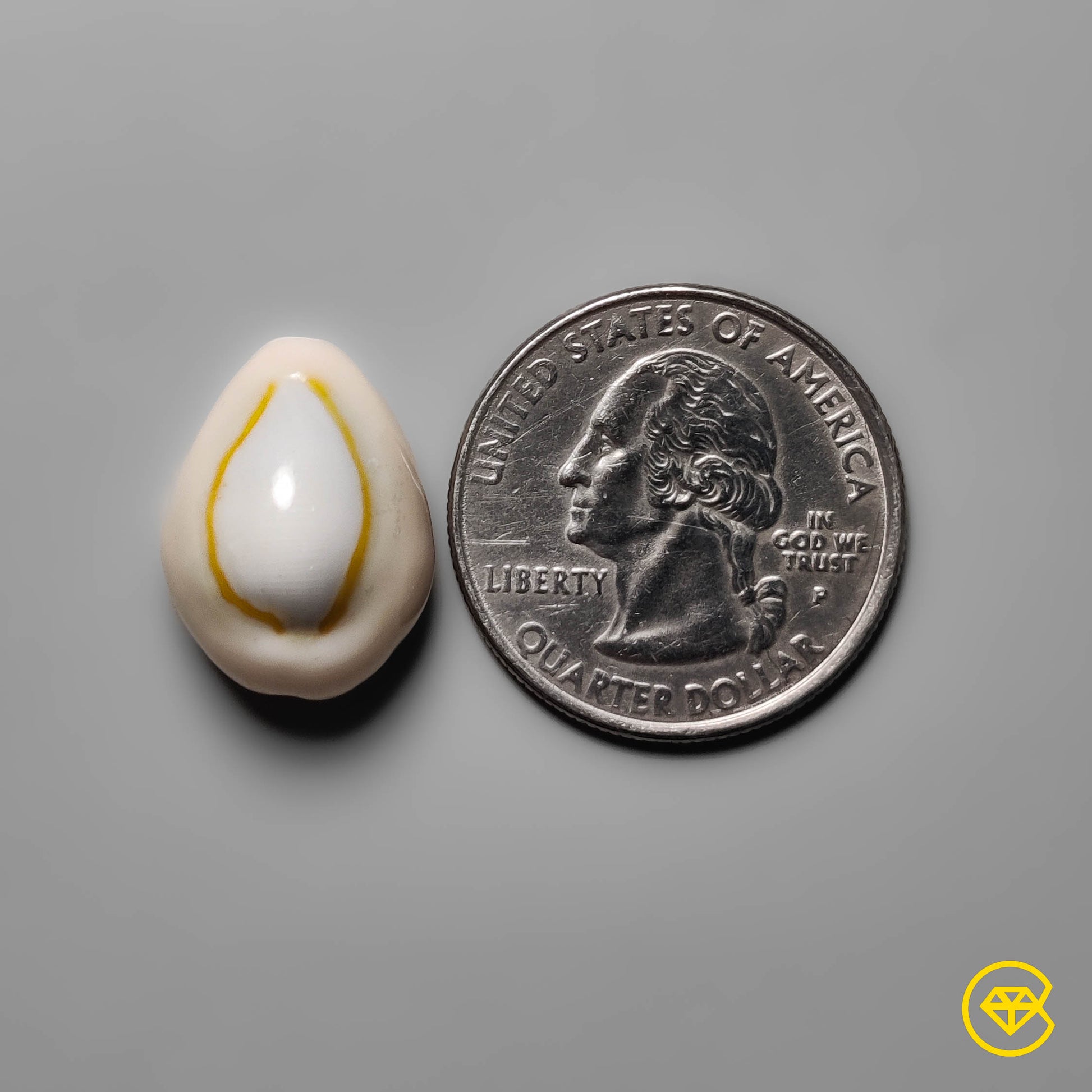 Shell