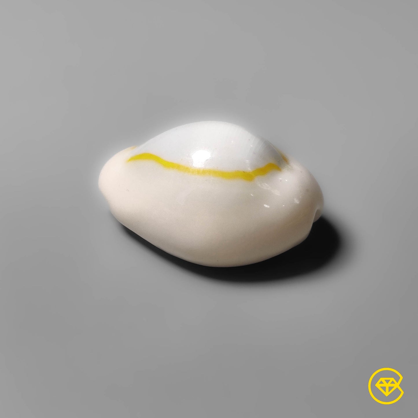 Shell