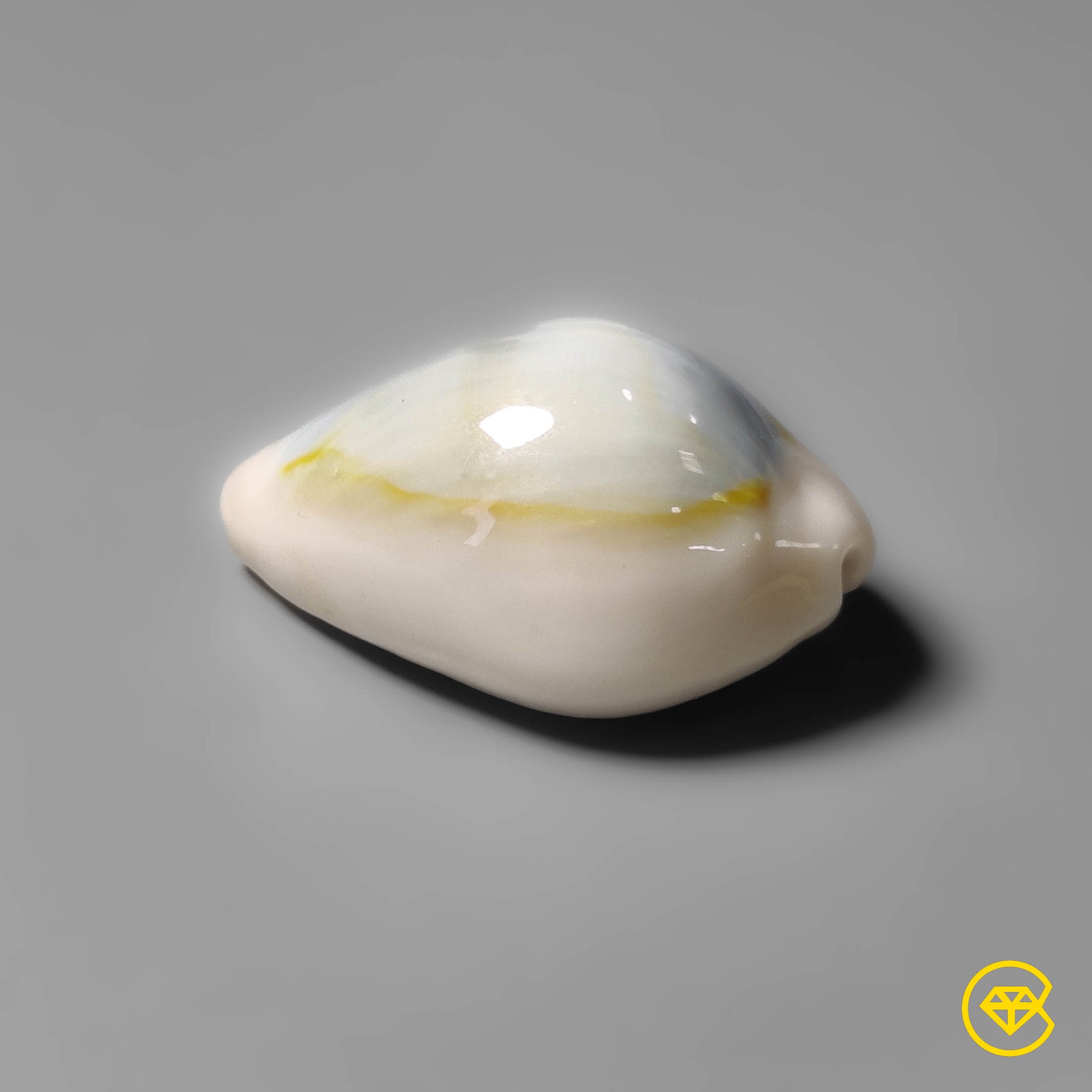 Shell