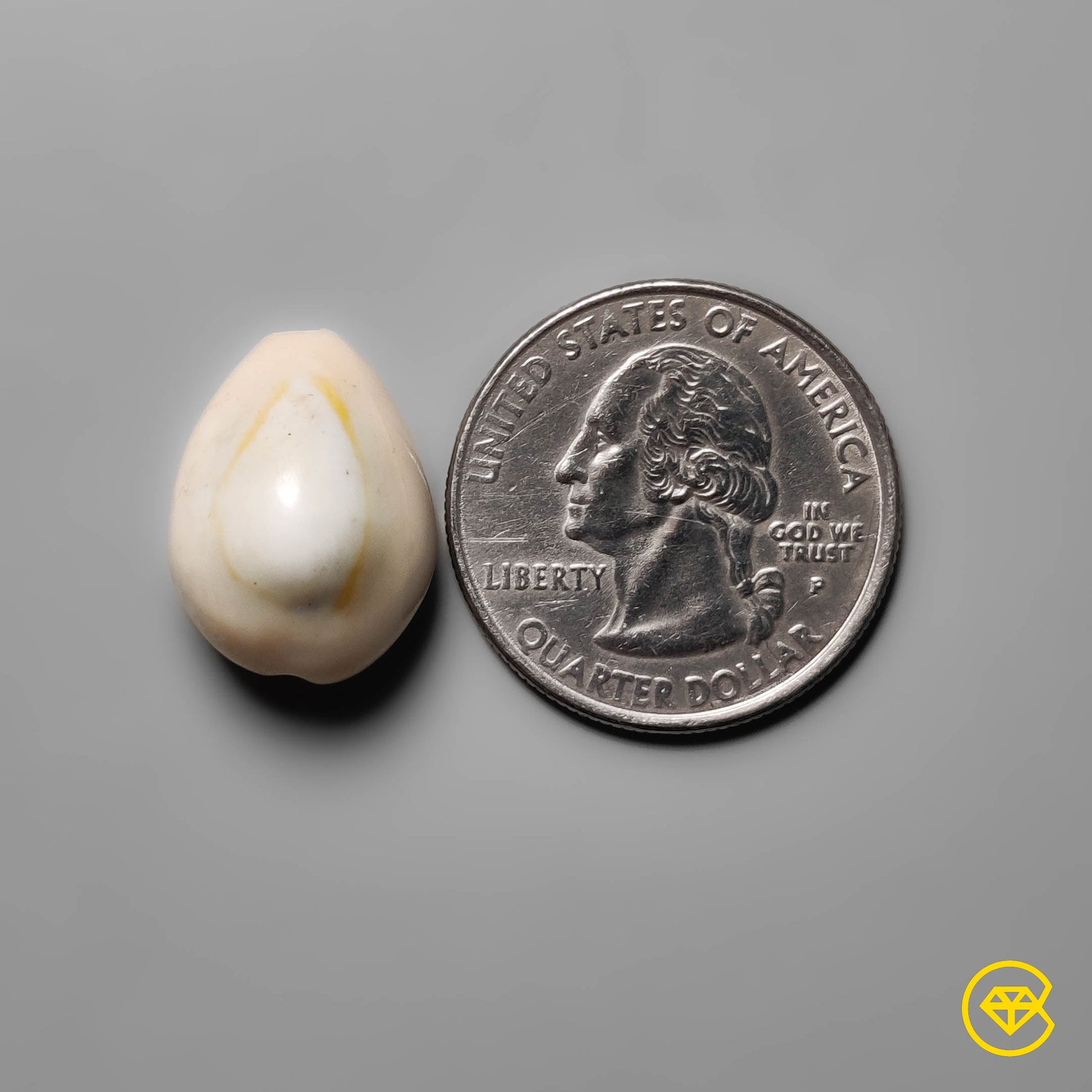 Shell