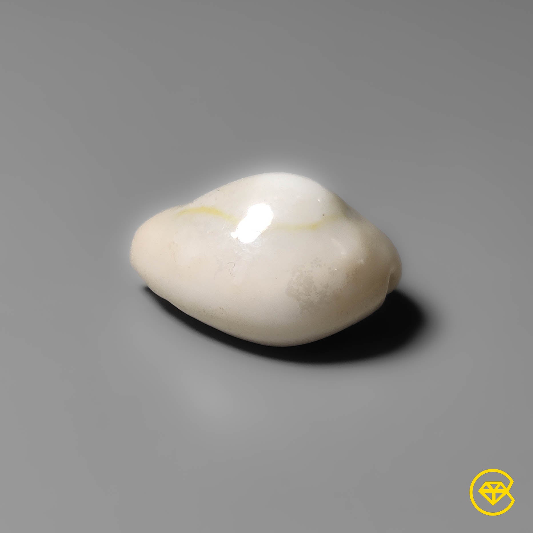 Shell