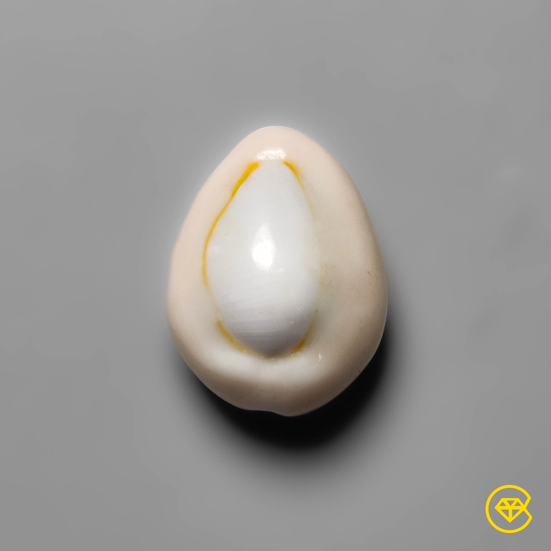 Shell